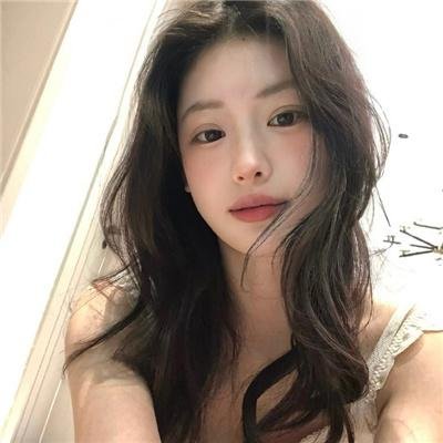 科搜研之女2022